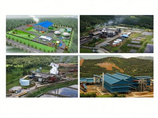 palm oil mill vegetable oil mill manufacturer in ivory coast