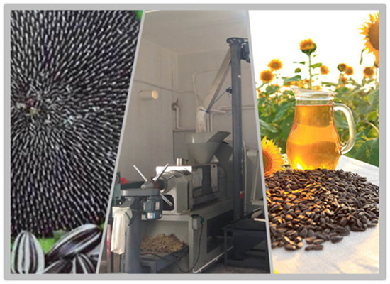 mustard seed oil extraction machine in yemen