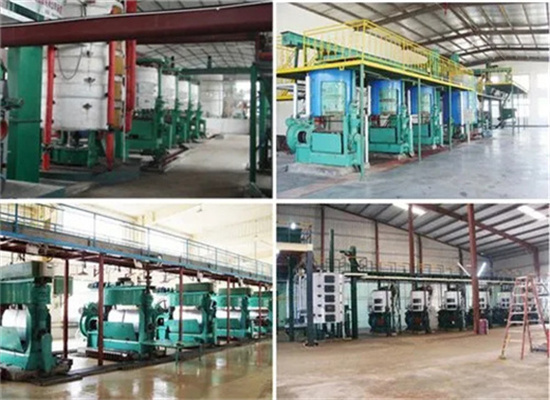 hot sell oil expeller cold oil press equipment