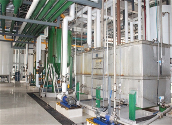 specification of coconut oil expeller machine