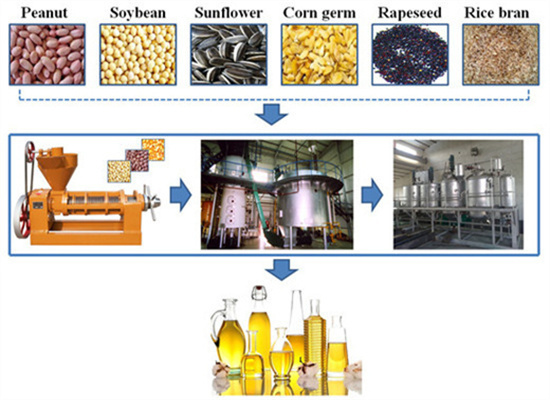 machine making butter from rice bran oil in uae