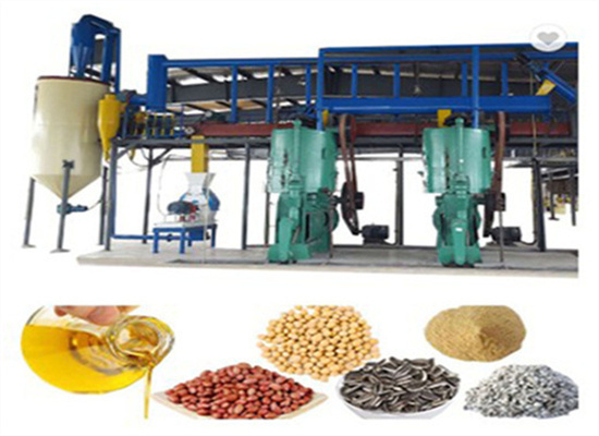 automatic palm grape seed oil press machine in gambia