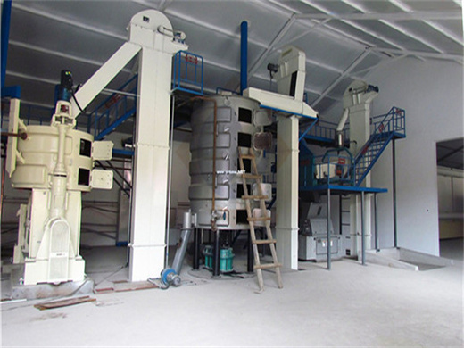 high output 6yl pepper seed oil expeller in zimbabwe