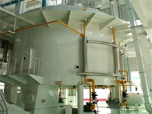 new type black soybean oil seed press machine