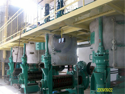 customized palm oil screw press machine in brazil