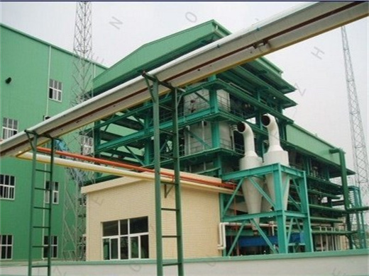 wheat germ oil solvent extraction plant line in ethiopia