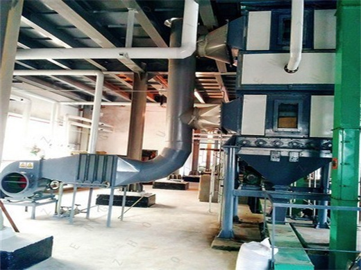 factory sunflower oil screw press machine in algeria