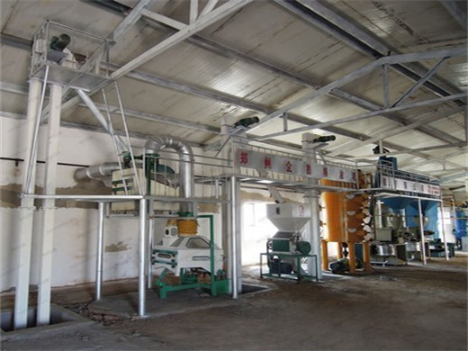 vegetable oil press wheat flour making machine