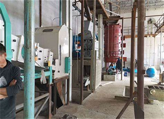 hot cold type oil press extracting equipment in thailand