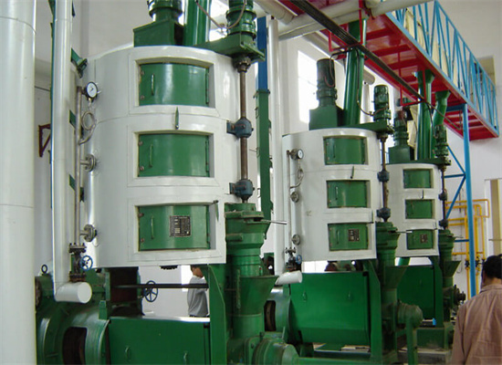 pumpkin sunflower seed oil press machine in myanmar