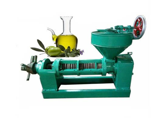 large capacity peanut oil pressure machine in belarus