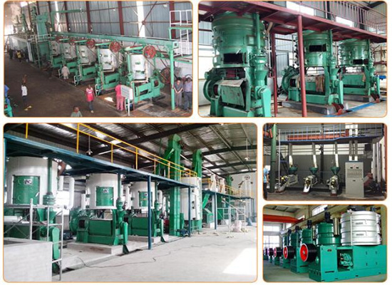 best vegetable oil processing machine in angola