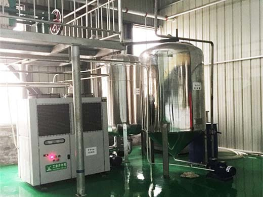 special coconut oil press plant oil press in togo