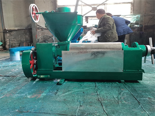 automatic flax oil screw press machine in benin