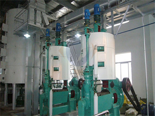 manufactory supply plant oil seed oil base oil