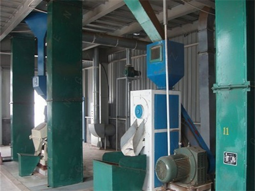 corn oil press machine with high capacity in canada