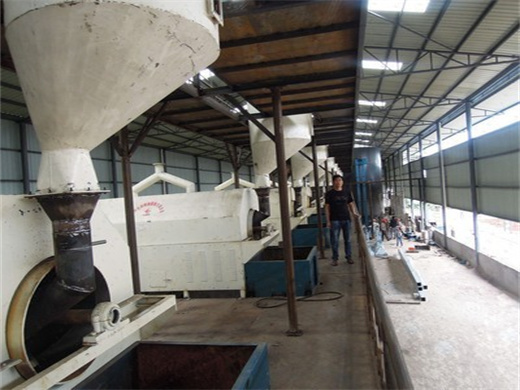 direct manufacture for macadamia nut oil press