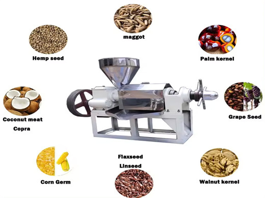 screw castor oil extracting machine in maldives