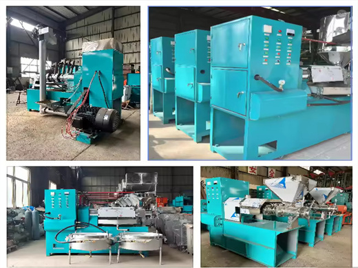 new Product scale soybean seeds oil expeller in turkey