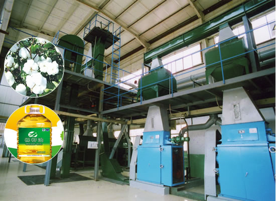 high oil output palm oil expeller machine in iraq