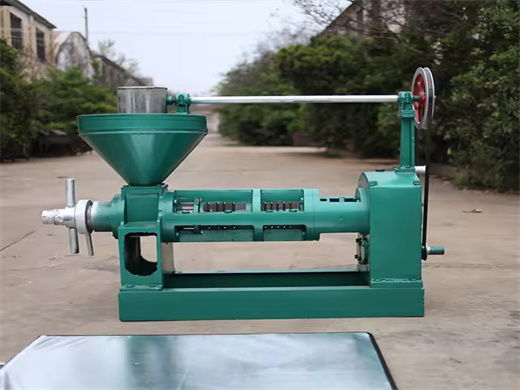 soya bean oil expeller peanut oil press machine