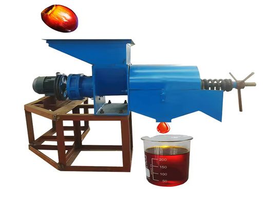 competitive price price palm oil mill in congo