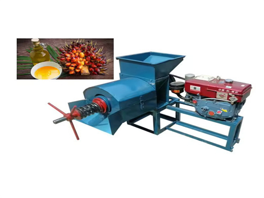 1-120tph palm oil processing machine in mozambique