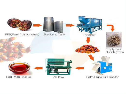 hottest seed oil extraction machine in brazil