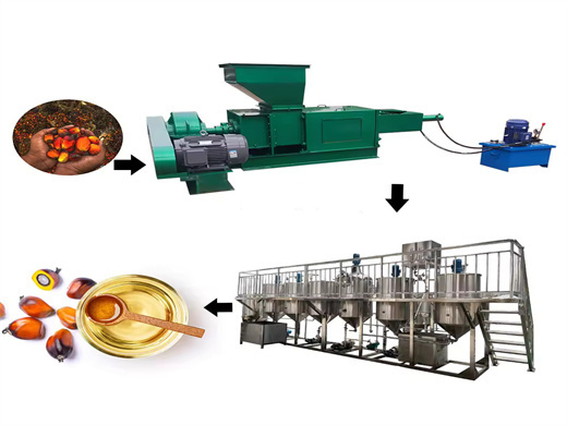 automatic oil seed press equipment 10 kg/h in tunisia