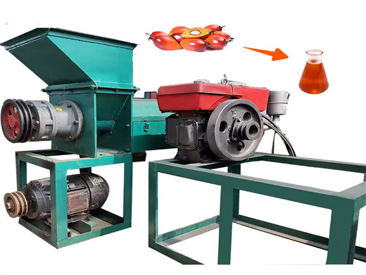 iso ce oil press oil press equipment hot sell in iraq