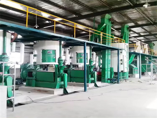 6yl 80 palm kernel oil expeller manufacturer in niger