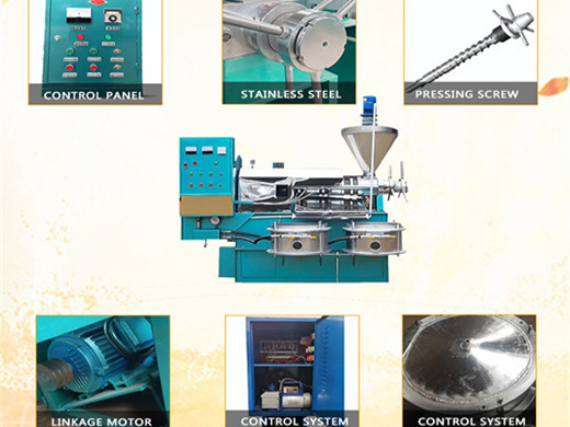 low temperature cottonseed oil expeller in mozambique