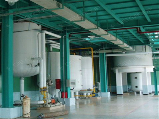 palm oil and palm kernel oil processing line in uganda