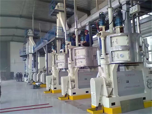 fully automatic coconut oil seed press machine