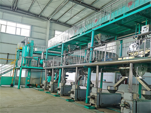 professional automatic rice bran oil mill in kyrgyzstan