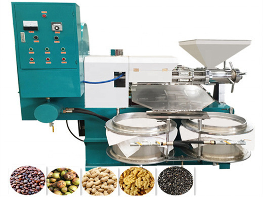 factory price palm seed oil price machine in nigeria