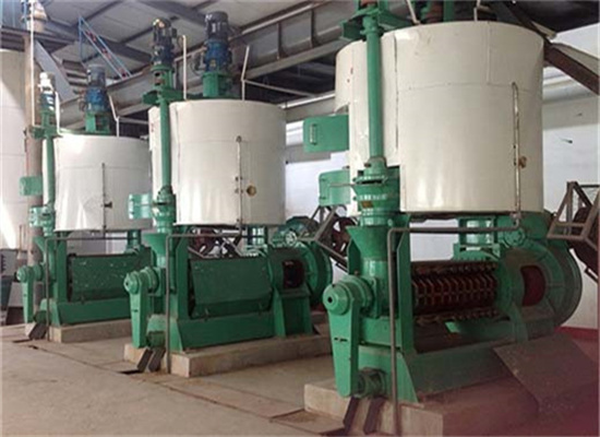 oil maker kernel oil processing equipment in guinea