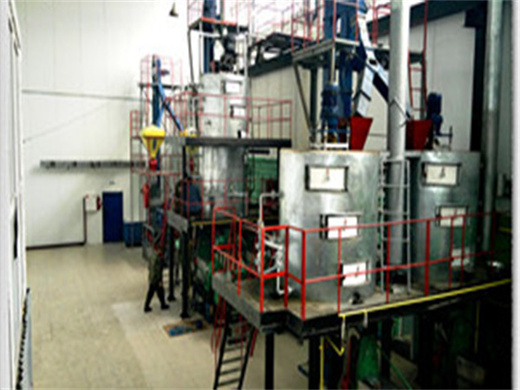 best selling moringa oil processing machine in indonesia