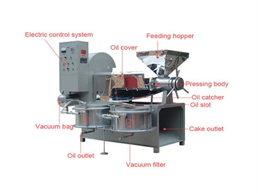 rapeseed vegetable edible oil extruder in portugal