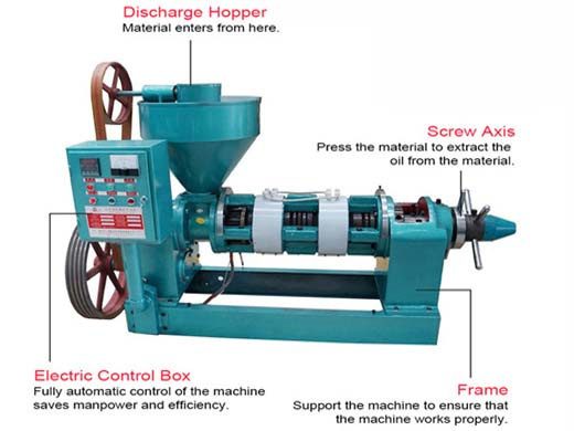 hot and cold oil presser pressing machine in ivory coast