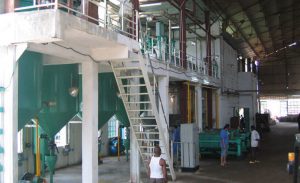 Palm Oil Production Line